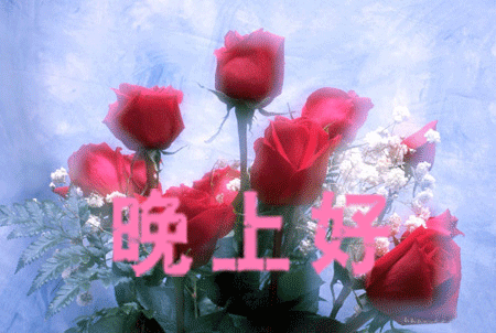 晚上好.gif