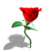 11050610057d51bc8338686e83.gif