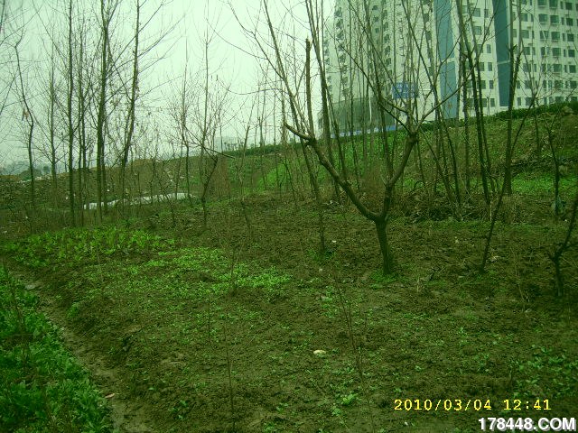 SSA46215.JPG