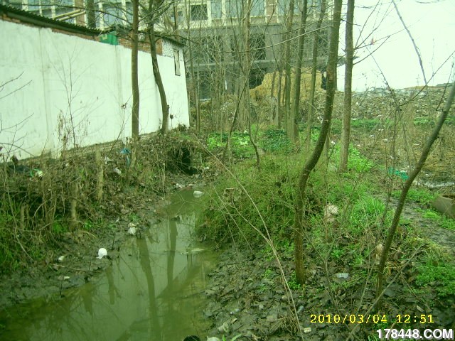 SSA46232.JPG