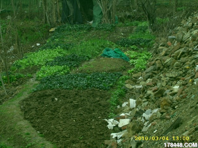 SSA46241.JPG