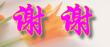 13103560027121973923281.gif