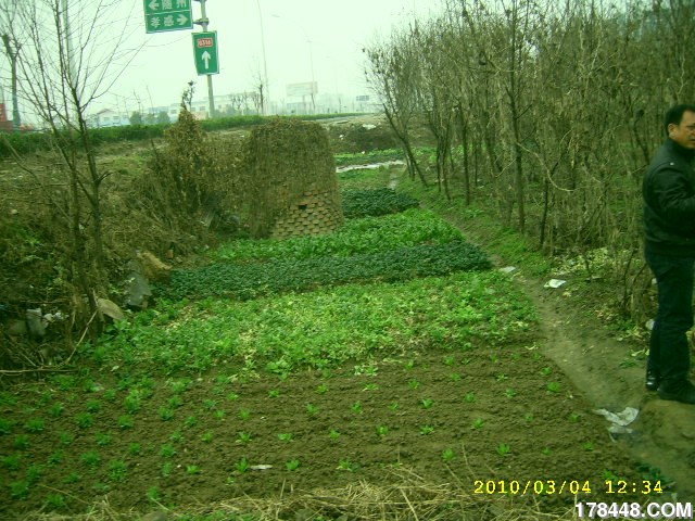 SSA46193.JPG