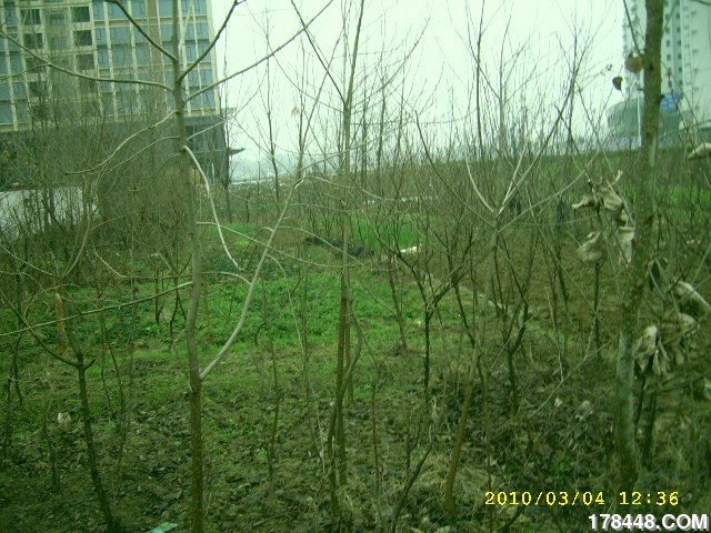 SSA46200.JPG