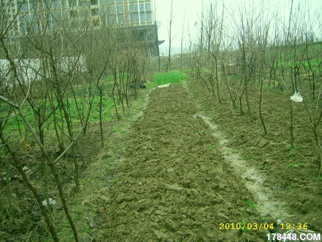 SSA46201.JPG