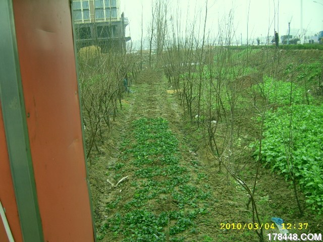 SSA46203.JPG