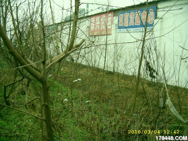 SSA46218.JPG