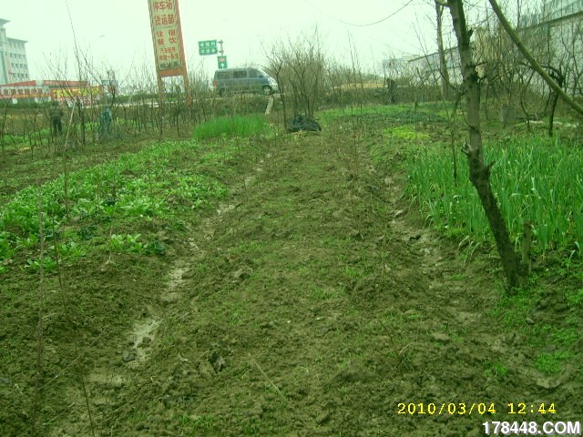 SSA46221.JPG