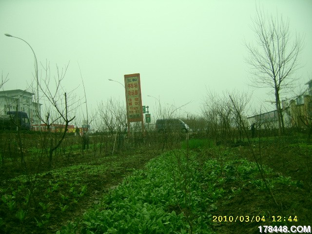 SSA46223.JPG