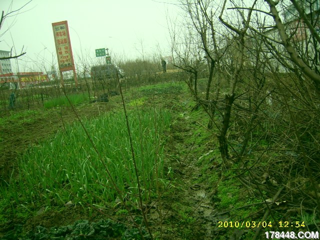 SSA46236.JPG