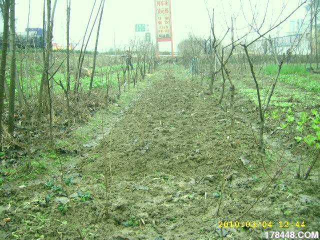 SSA46225.JPG