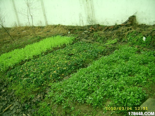 SSA46234.JPG