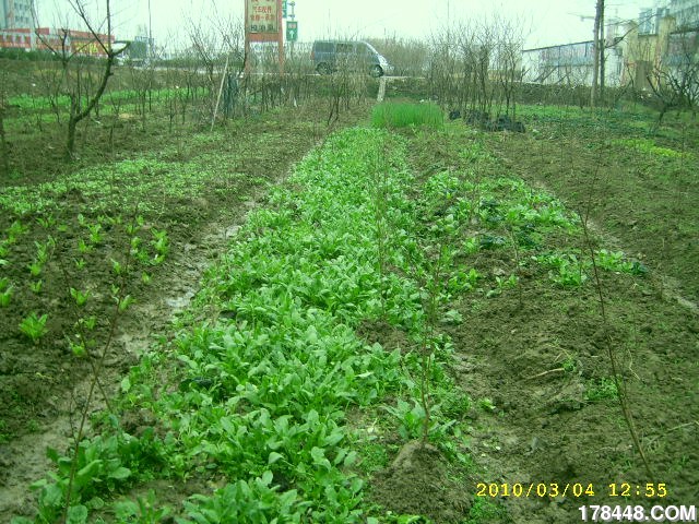SSA46238.JPG