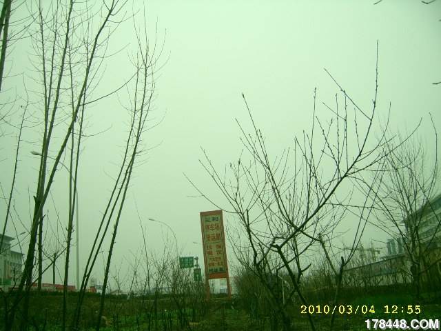 SSA46240.JPG