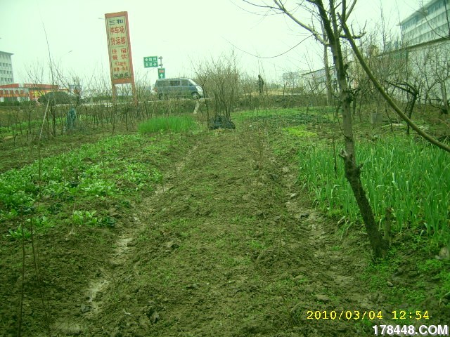 SSA46237.JPG