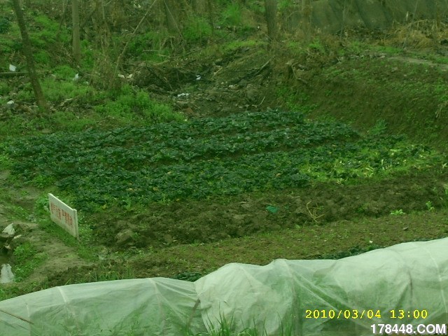 SSA46243.JPG