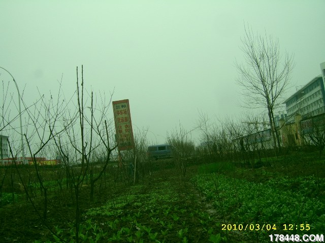 SSA46239.JPG