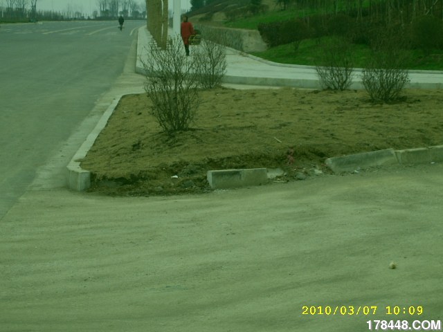 SSA46260.JPG