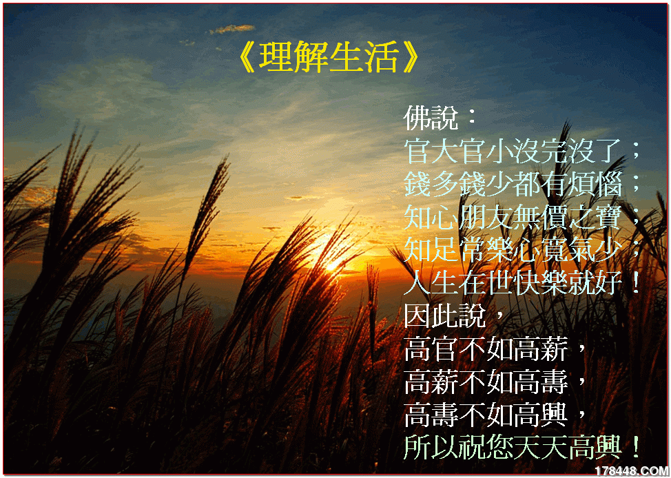 理解生活.gif