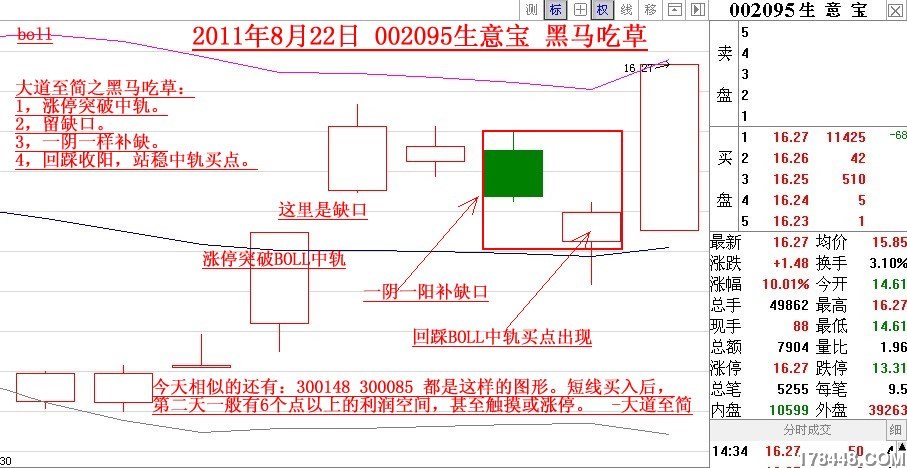 黑马吃草.jpg