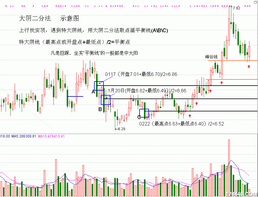 大阴二分法.gif