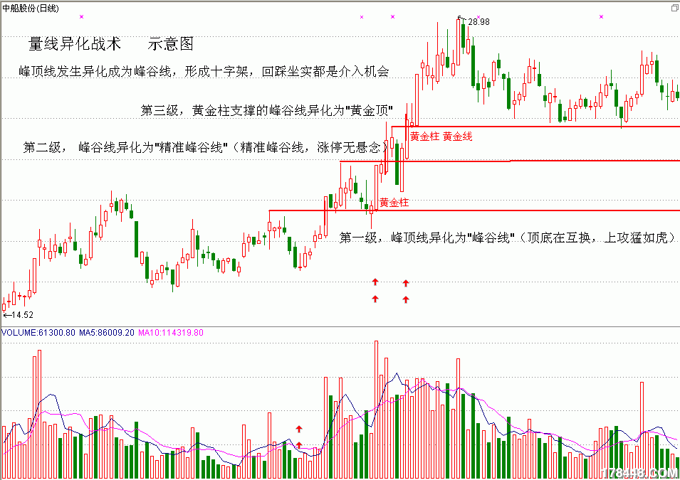 量线异化战术.gif