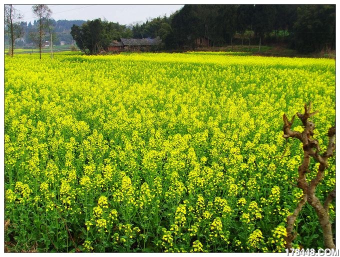 四川盆地