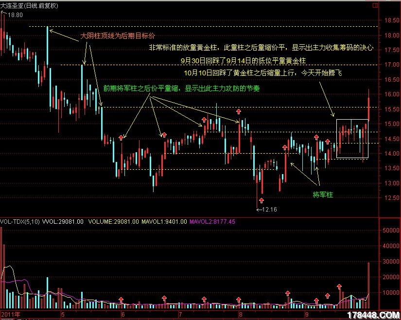 大连圣达分析.jpg